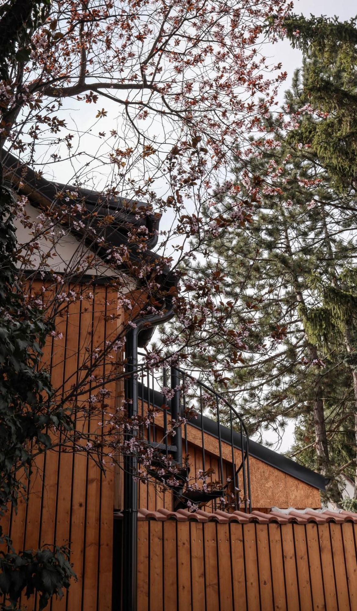 Golden Golem Hotel & Spa Prague Luaran gambar